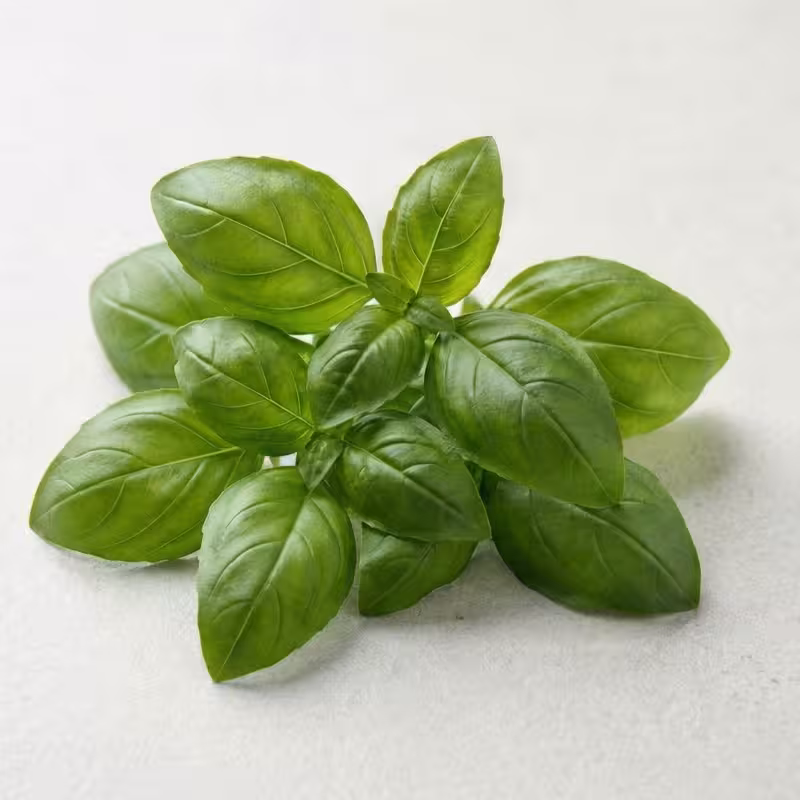 Category Herbs mobile