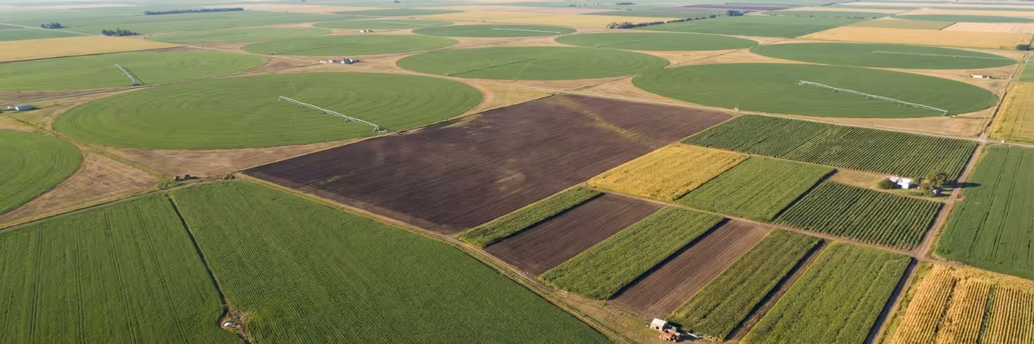 Foodpoint sustainable forest background